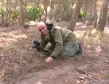 Un día en el parque con Jesús